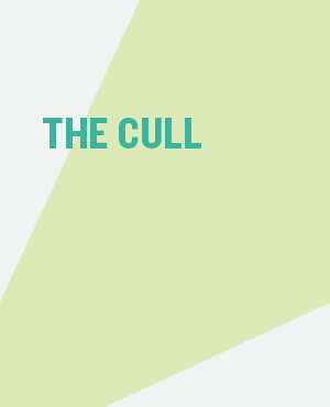 THE CULL